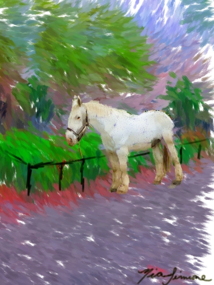 Horse at the park