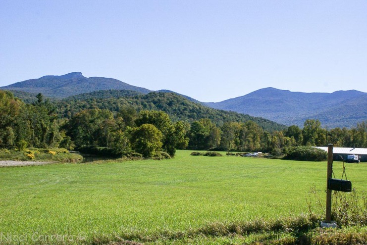 A typical Vermont scene